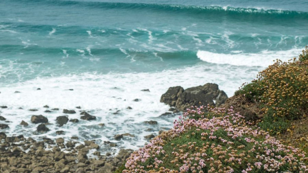 Maer Cliff, Bude, Cornwall