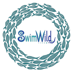 Swim Wild logo