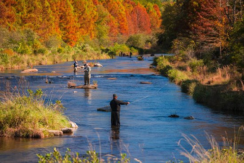 Lower Mountain Fork Fly Fishing