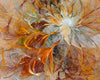 Acrylglasbild Abstrakter Bluetenzauber In Orange Quadrat Crop