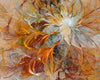 Acrylglasbild Abstrakter Bluetenzauber In Orange Querformat Crop