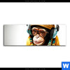 Acrylglasbild Affe Mit Kopfhoerern Brille Panorama Motivvorschau