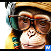 Acrylglasbild Affe Mit Kopfhoerern Brille Panorama Zoom