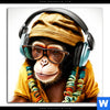 Acrylglasbild Affe Mit Kopfhoerern Brille Quadrat Motivvorschau
