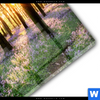 Acrylglasbild Bluehender Wald Bei Sonnenaufgang Querformat Materialbild