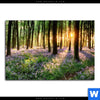 Acrylglasbild Bluehender Wald Bei Sonnenaufgang Querformat Motivvorschau