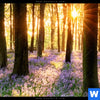 Acrylglasbild Bluehender Wald Bei Sonnenaufgang Querformat Zoom