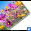 Acrylglasbild Blumenwiese Unter Blauem Himmel Rund Materialbild