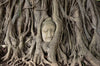 Acrylglasbild Buddha In Baumwurzeln Rund Crop