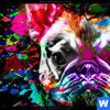 Acrylglasbild Bunte Bulldogge Schwarz Querformat Zoom