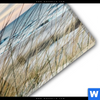 Acrylglasbild Duenen Und Meer Panorama Materialbild