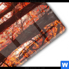 Acrylglasbild Herbstwald Schmal Materialbild
