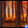Acrylglasbild Herbstwald Schmal Zoom