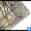 Acrylglasbild Idyllischer Wald Mit Bruecke Schmal Materialbild