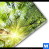 Acrylglasbild Im Frischen Gruenen Wald Hochformat Materialbild