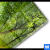 Acrylglasbild Im Frischen Gruenen Wald Schmal Materialbild