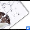 Acrylglasbild Kokosnuesse Mit Wasserspritzer Schmal Materialbild