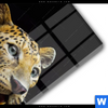 Acrylglasbild Leopard In Der Dunkelheit Schmal Materialbild