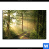 Acrylglasbild Morgenspaziergang Im Nebeligem Wald Querformat Motivvorschau