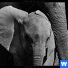 Acrylglasbild Mutter Baby Elefant Schmal Zoom