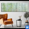 Acrylglasbild Nebliger Birkenwald Panorama Produktvorschau