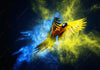 Acrylglasbild Papagei Farbexplosion Panorama Crop