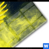 Acrylglasbild Papagei Farbexplosion Panorama Materialbild
