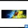 Acrylglasbild Papagei Farbexplosion Panorama Motivvorschau