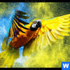 Acrylglasbild Papagei Farbexplosion Panorama Zoom