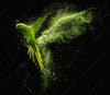 Acrylglasbild Papagei Gruene Farbexplosion Hochformat Crop