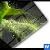Acrylglasbild Papagei Gruene Farbexplosion Hochformat Materialbild