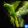 Acrylglasbild Papagei Gruene Farbexplosion Hochformat Zoom