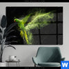 Acrylglasbild Papagei Gruene Farbexplosion Querformat Produktvorschau