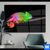 Acrylglasbild Regenbogen Chamaeleon Querformat Produktvorschau