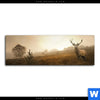 Acrylglasbild Rothirsch Im Nebel Panorama Motivvorschau
