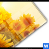 Acrylglasbild Sonnenblumen Im Abendlicht Hochformat Materialbild