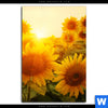 Acrylglasbild Sonnenblumen Im Abendlicht Hochformat Motivvorschau