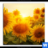 Acrylglasbild Sonnenblumen Im Abendlicht Quadrat Motivvorschau
