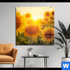 Acrylglasbild Sonnenblumen Im Abendlicht Quadrat Produktvorschau