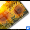 Acrylglasbild Sonnenblumen Im Abendlicht Querformat Materialbild