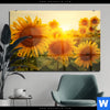 Acrylglasbild Sonnenblumen Im Abendlicht Querformat Produktvorschau