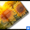 Acrylglasbild Sonnenblumen Im Abendlicht Rund Materialbild