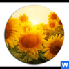 Acrylglasbild Sonnenblumen Im Abendlicht Rund Motivvorschau