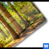 Acrylglasbild Sonniger Wald Panorama Materialbild
