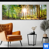 Acrylglasbild Sonniger Wald Panorama Produktvorschau