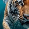 Acrylglasbild Tauchender Tiger Rund