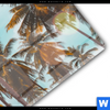 Acrylglasbild Tropische Palmen Panorama Materialbild
