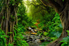 Acrylglasbild Tropischer Dschungel Hochformat Crop