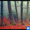 Acrylglasbild Vertraeumter Wald Querformat Zoom