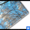 Acrylglasbild Wald Im Winter Panorama Materialbild